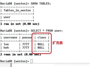 数据库管理的精髓 从架构到日常运维的全面解析
