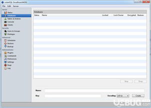 CubesQL数据库管理系统 v5.7.2 官方版下载与简介