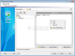EMS SQL Management for MySQL 使用教程 数据导出与数据库管理详解